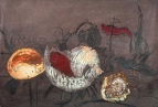  (Nr. 29)